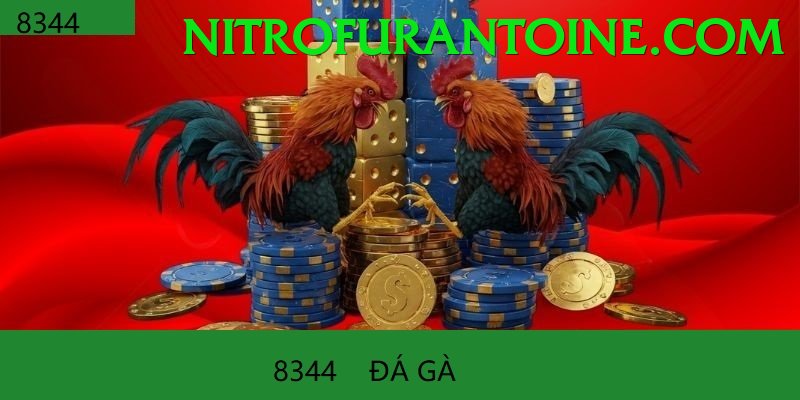 Đá Gà Trực Tiếp - Trải nghiệm tuyệt vời